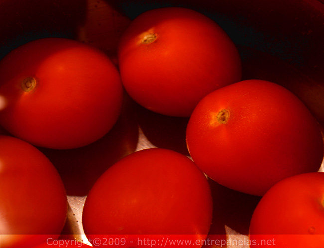 tomates